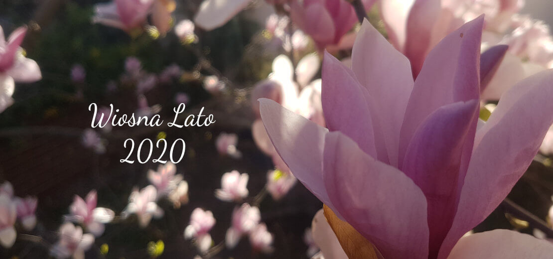 Kolekcja wiosna lato 2020